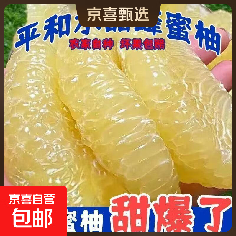 正宗福建平和白心柚子新鲜水果当季孕妇琯溪白肉蜜柚薄皮整箱批发 1粒装-尝新（1-1.5斤）
