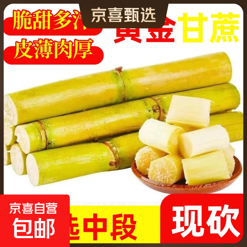 【精选中段】黄金甘蔗现砍黄皮甘蔗新乡当季水果脆甜榨汁-乐磊E 带箱5斤优选