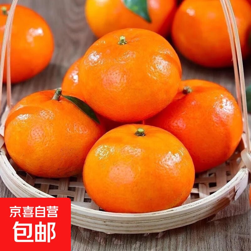 新鲜沃柑超甜皮薄肉厚当季采摘水果沃柑 沃柑礼盒装9斤