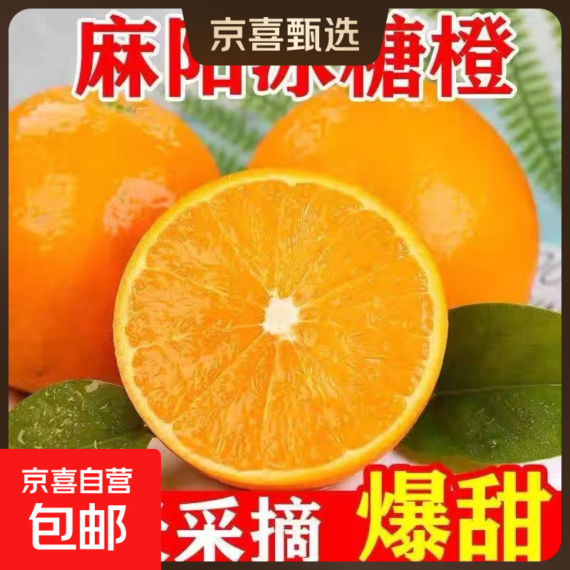 湖南高山冰糖橙当季新鲜手剥甜橙子应季水果现摘现发 带箱4斤（净重3.7斤）单果60mm以下