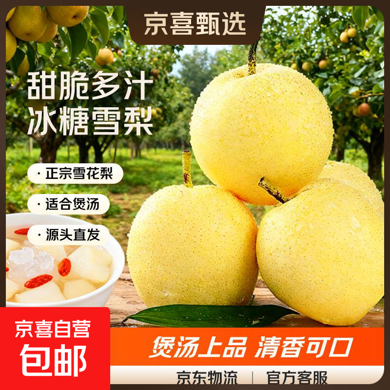 京喜加河北雪梨赵县雪花梨冰糖雪梨煲汤首选远达新25 雪梨带箱1斤大果