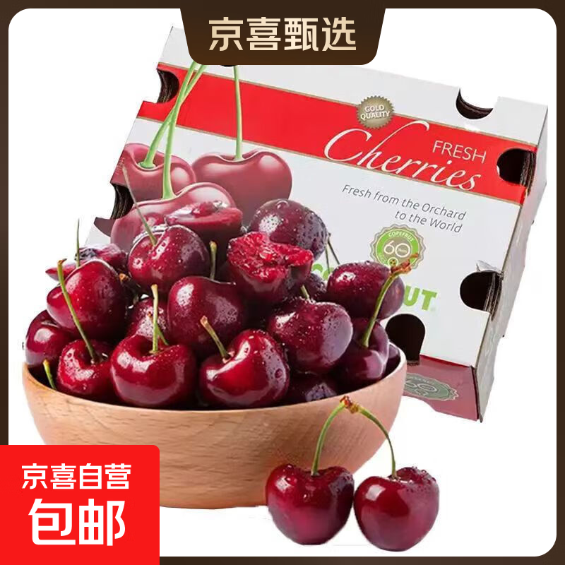 ˮ����ͷ ���������� 5kg С�� XL ����24-26mm 151Ԫ