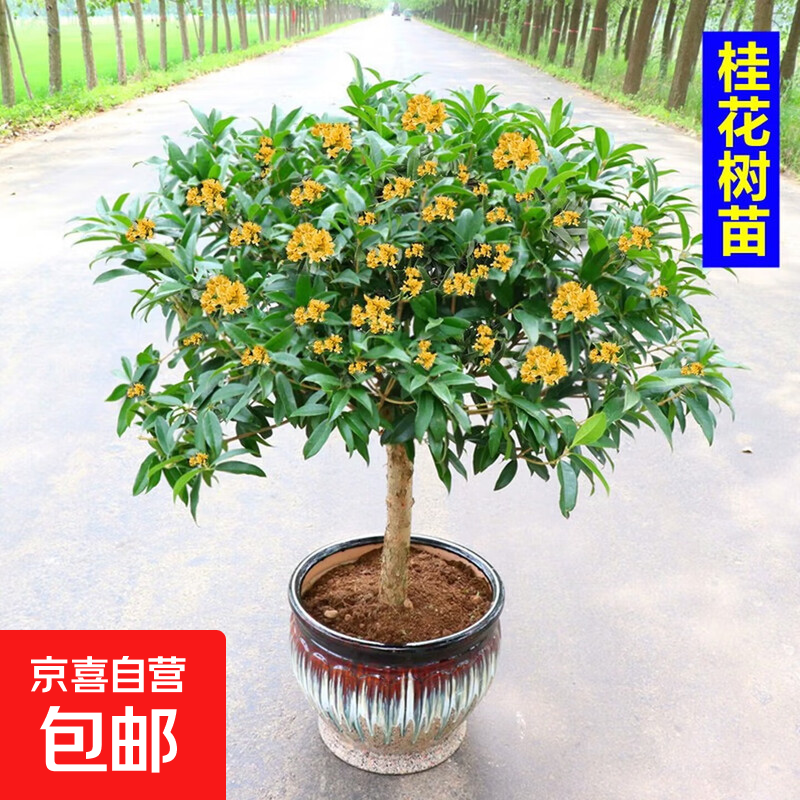 �����������ļ�����ͥԺ�̻�������������Խ�����Ũ���� �ļ�����ļ������� 10���硾�����辰�硿