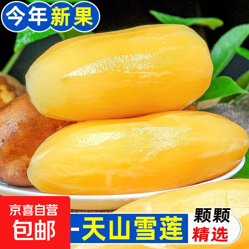 正宗云南天山雪莲果现挖现发高原脆甜雪中仙果当季新鲜水果 2斤