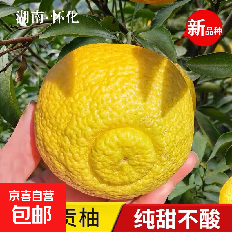 ��ϲ�ӽ��ֺ��ϻ���ǭ���ƽ��ֵ�������ˮ�����������ɽ��ѩ��С���� ����3�ﾻ��2.7�����60mm�� 5.9Ԫ