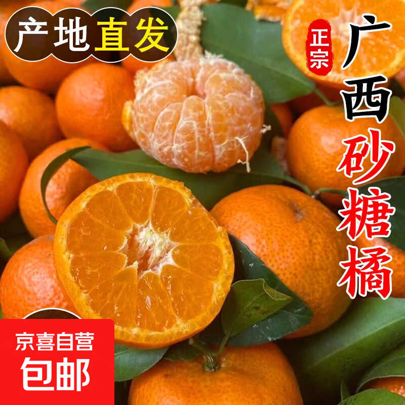广西桂林正宗砂糖橘棉橘 新鲜现摘时令应季水果金秋小砂糖桔子 带箱1斤 小果（35-45mm）