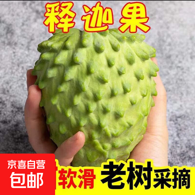 京喜加云南释迦果凤梨牛奶释迦果番荔枝佛头摩尼果 特级果1斤装[单颗150g+]