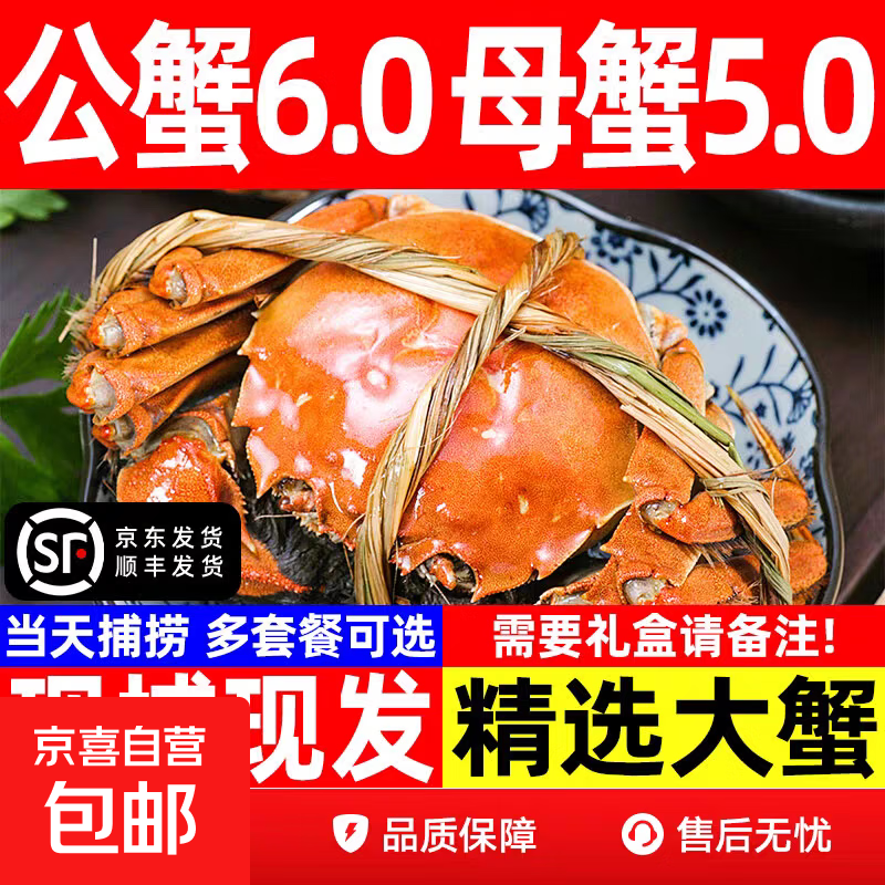 【活蟹】大闸蟹鲜活现货母蟹礼盒大螃蟹产地直发公6两母5两4对8只 全母3-3.3两8只