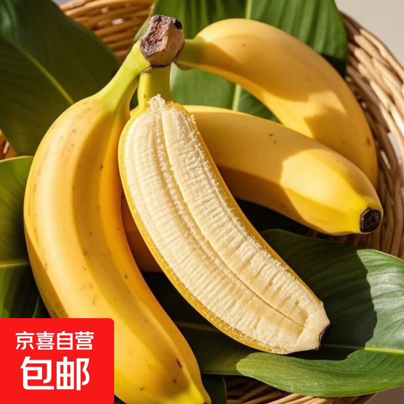 正宗广西小米蕉当季新鲜水果万澄装自然熟小香蕉现摘现发产地直发 【带箱2斤】小米蕉净重1.7-1.8斤