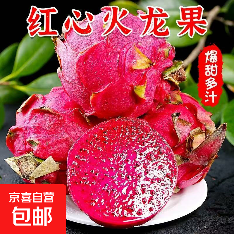 京喜加国产红心火龙果树上数金都一号新鲜水果果园现摘 2粒（单果200g+）