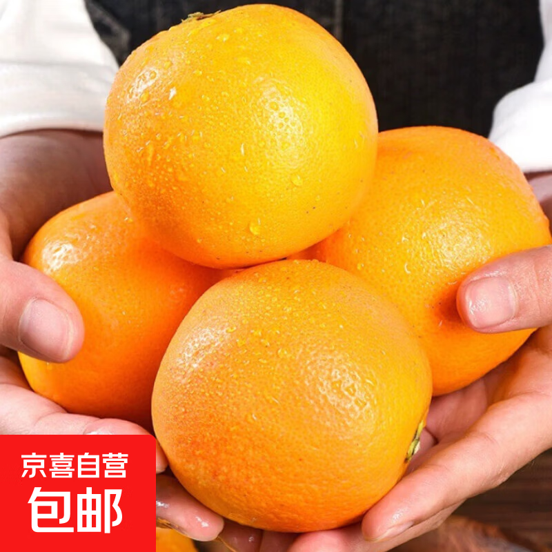 湖南麻阳冰糖橙鲜甜冰糖柑新鲜水果橙子柑子应季新鲜采摘  65mm+ 麻阳冰糖橙带箱2斤装65mm+普箱