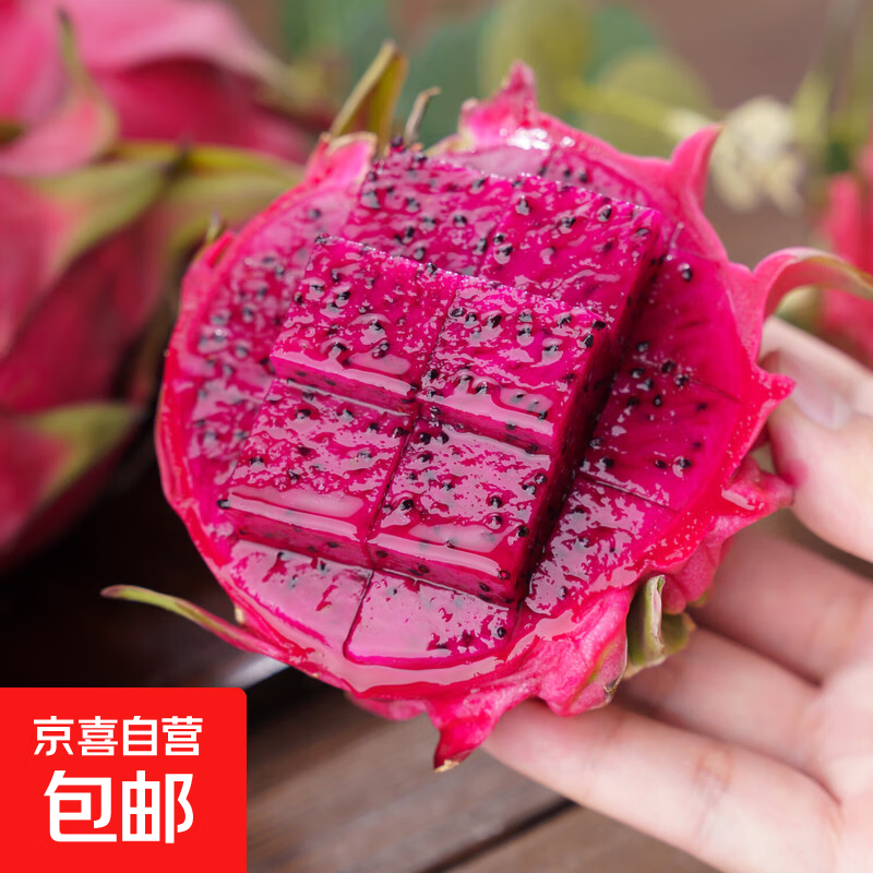 云南红肉火龙果新鲜采摘现摘现发 1粒装 单果300g+