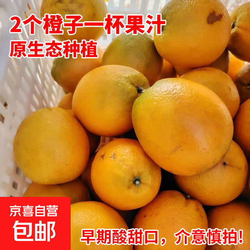 正宗高山纽荷尔脐橙手剥新鲜应季饱满多汁孕妇水果甜橙子直发 带箱5斤大果75-85mm净重4.5斤