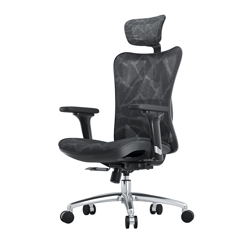 SIHOO 西昊 M57 人体工学电脑椅 黑色 标配款