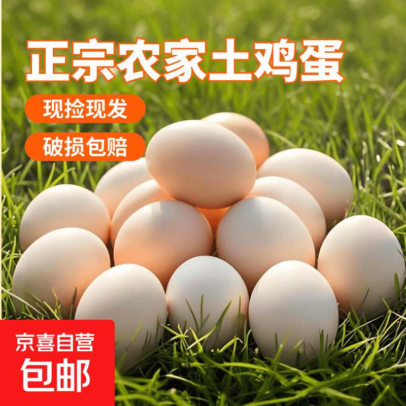 农家新鲜现捡鲜鸡蛋谷物饲养新鲜鸡蛋柴鸡蛋约40g/枚左右早餐买菜 10枚