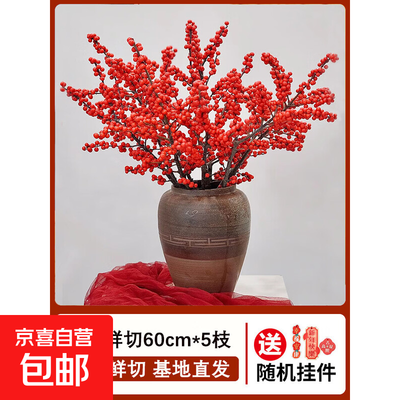 北美冬青鲜切花红果鲜花盆栽真花水培植物发财果年宵花卉花束 A级北美冬青鲜切60cm5枝 不含盆