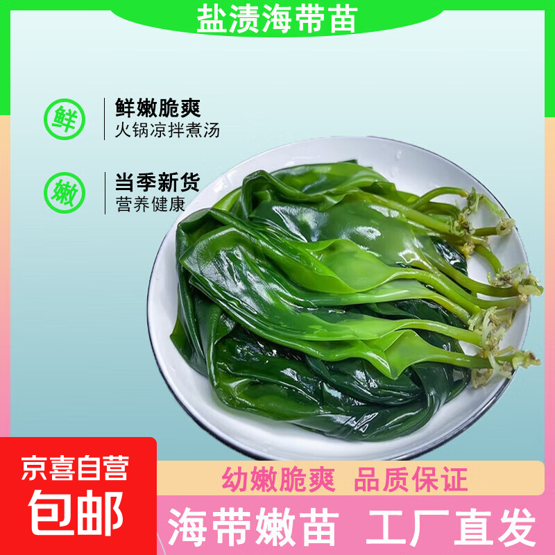 海带嫩苗霞浦海带苗火锅3秒菜凉拌菜海带苗海带嫩苗霞浦特产海产 [头水海带嫩苗]250g*1