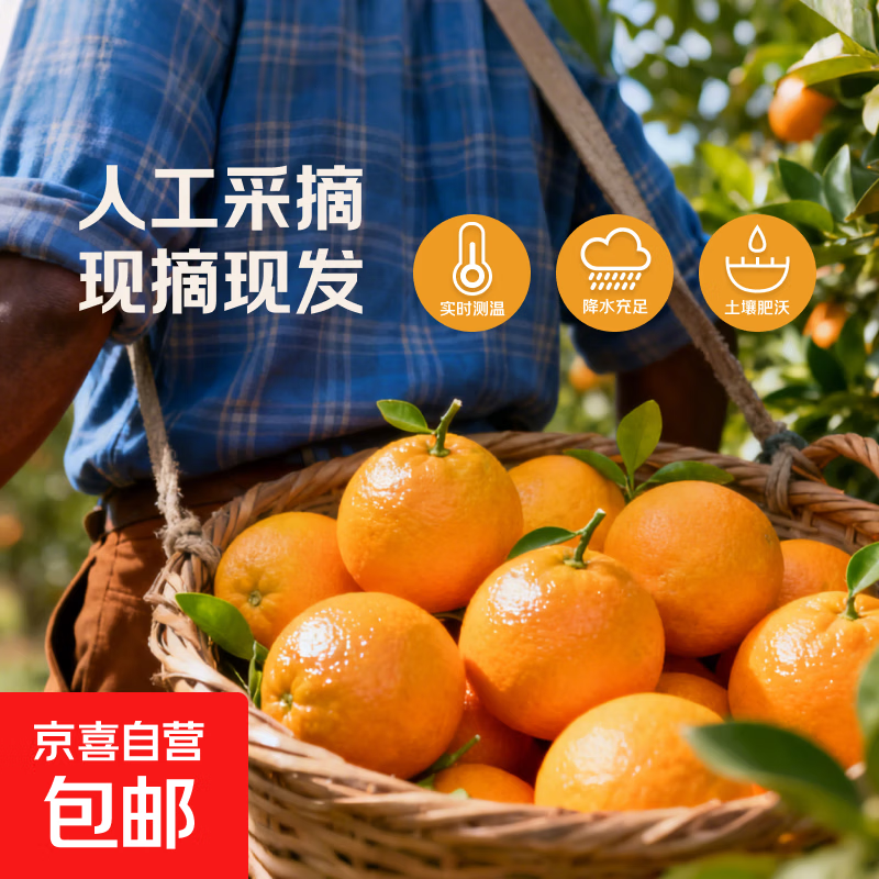 湖南麻阳冰糖橙新鲜甜多汁冰糖柑水果产地直发自然熟50-60mm 麻阳冰糖橙 带箱1斤装50-60mm