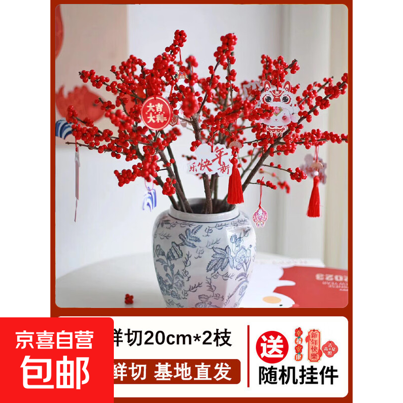 北美冬青鲜切花红果鲜花盆栽真花水培植物发财果年宵花卉花束 A级北美冬青鲜切20cm2枝 不含盆