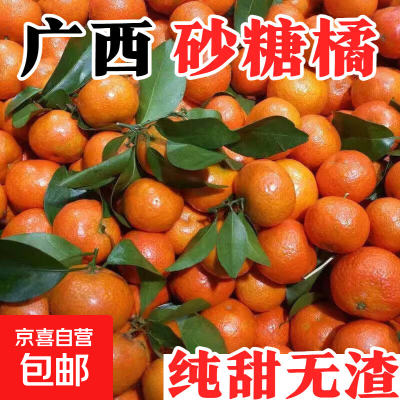 广西砂糖橘桔子当季新鲜孕妇水果现摘金秋沙糖桔蜜桔柑橘整箱 3斤尝鲜装 特级果