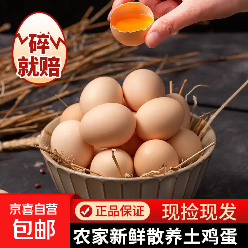 九华山农家散养土鸡蛋竹林虫草蛋柴鸡蛋50g正负5g早餐溏心蛋买菜 10枚/50g±5g