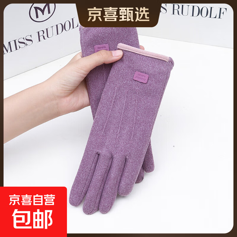 秋冬季手套女加绒加厚户外骑行电车开车防风防寒触屏冬天保暖手套 【女士三线】-紫色 均码