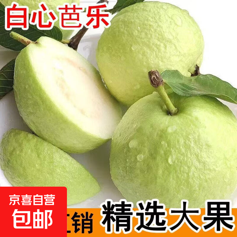 ��ϲ�� �㶫���ڰ��ְ����������鷬ʯ�����Ӧ������ˮ�� ����5��װ����120g+ 16.9Ԫ