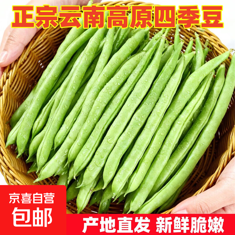 云南四季豆包邮发货豆青豆角当季现摘产地直发整箱装新鲜蔬菜热卖 2斤含箱 净重1.8斤【实惠装】