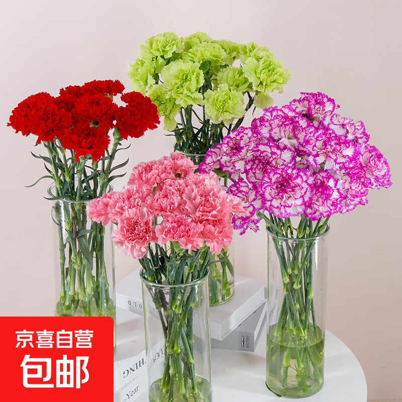 【康乃馨】鲜花云南基地直发38女神妇女节礼物花束多色夕送人3 随机单色康乃馨10枝