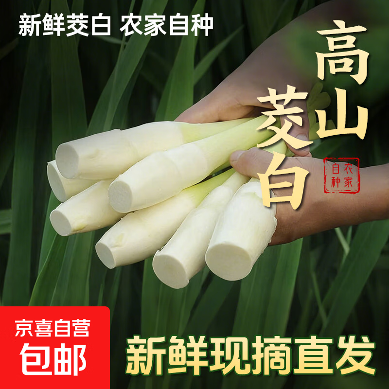 【现采现发】浙江新鲜茭白时令蔬菜带壳茭白高笋应季美食自种包邮 现采带壳茭白1.6-2斤 净重