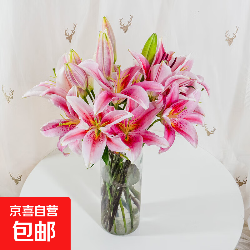 �ٽ��ۣ�����ֱ�� ��ˮ�ٺ��ʻ� ˮ�� 10�� ���ɫ ������� 21.9Ԫ(����ȯ)