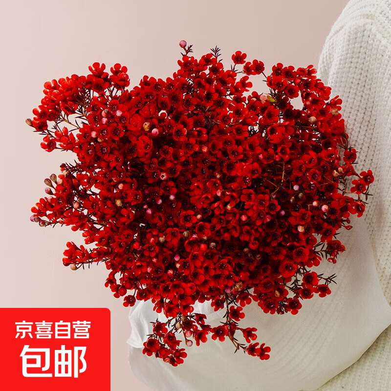 【云南鲜花】澳洲腊梅云南鲜花基地直发年宵花 京东快递 红色腊梅200g