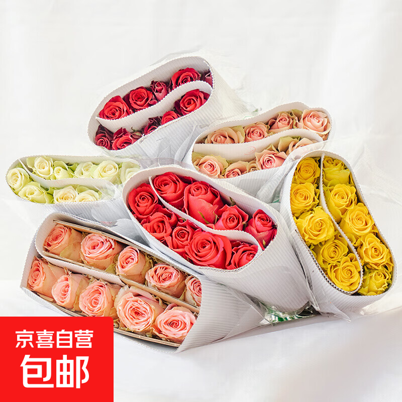 【康乃馨】鲜花云南基地直发38女神妇女节礼物花束多色夕送人3 随机色玫瑰花10支