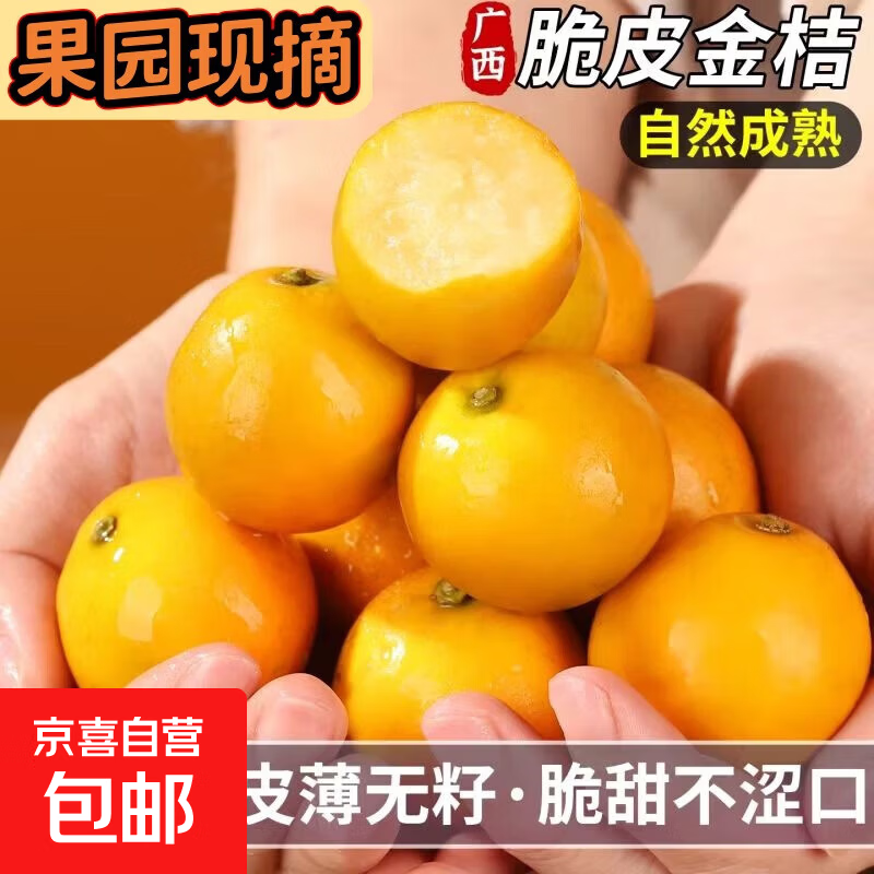 正宗广西脆皮滑皮金桔当季年货应季融安新鲜孕妇水果送礼生吃包邮 净重1斤（尝鲜） 【5号果】