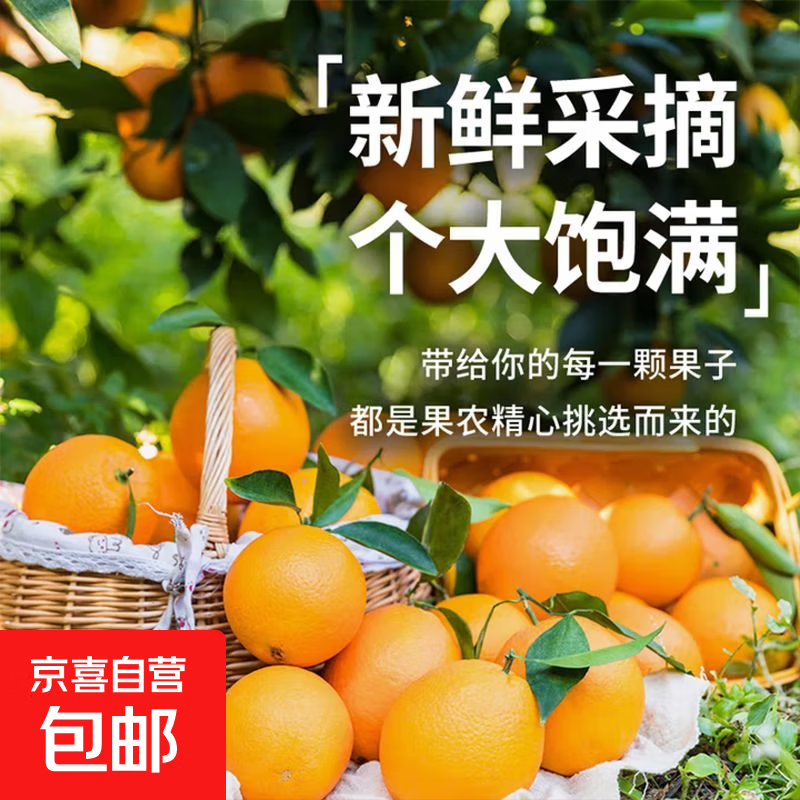 �����򣺽���������� ���ݴ�� ������ժ���� 9�ﾻ�أ�60-70mm����10��С���� 12.99Ԫ(����ȯ)