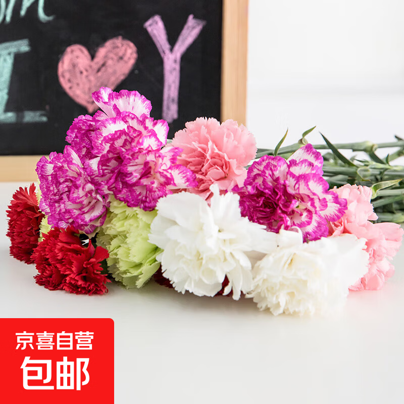 【康乃馨】鲜花云南基地直发38女神妇女节礼物花束多色夕送人3 混色康乃馨10枝