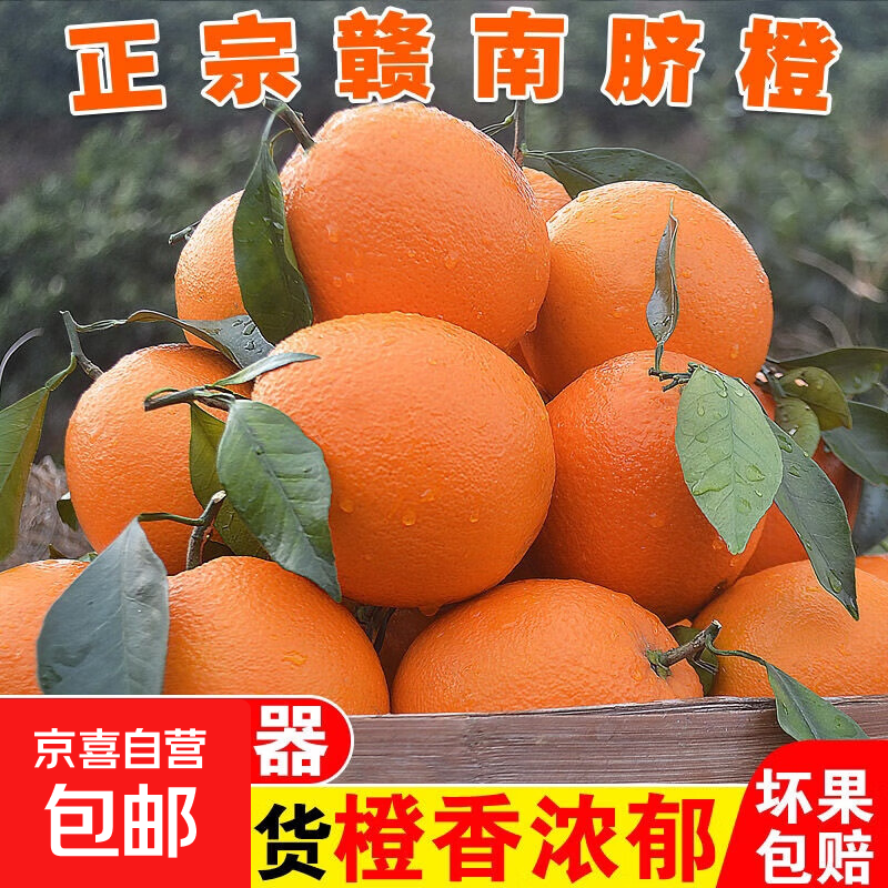 江西赣州赣南脐橙新鲜应季水果香甜橙子产地直发现摘现发包邮 70mm-75mm 带箱10斤净重9斤