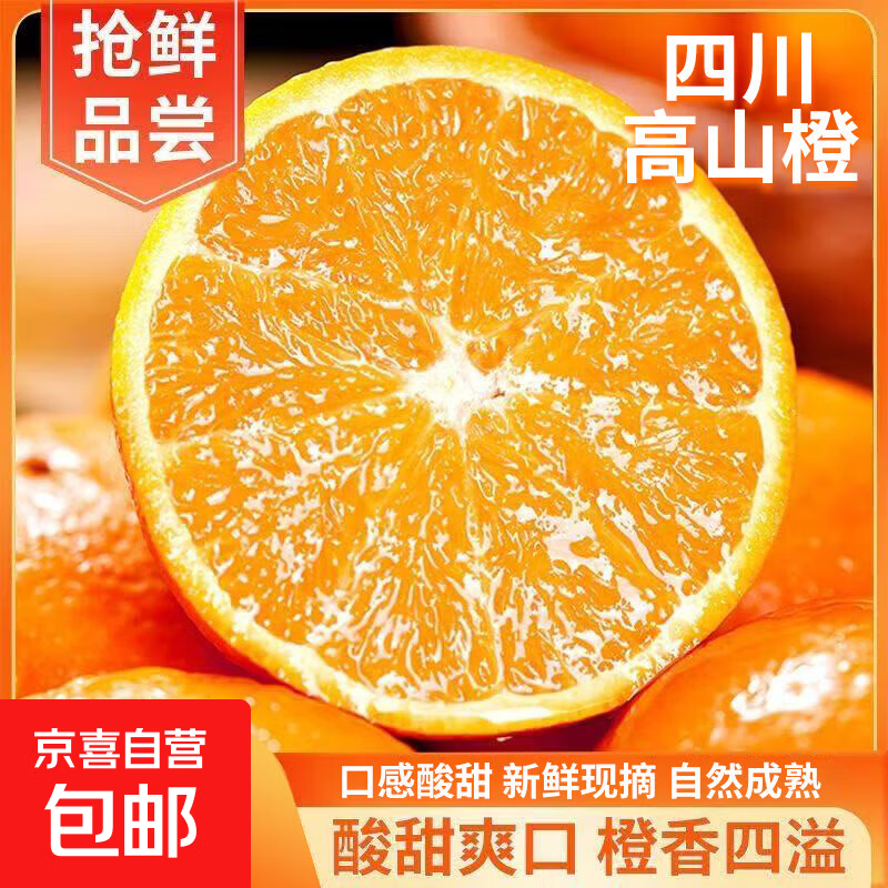 高山老树纽荷尔脐橙水果应季多汁新鲜采摘70-75mm 纽荷尔橙-带箱10斤  70-75mm