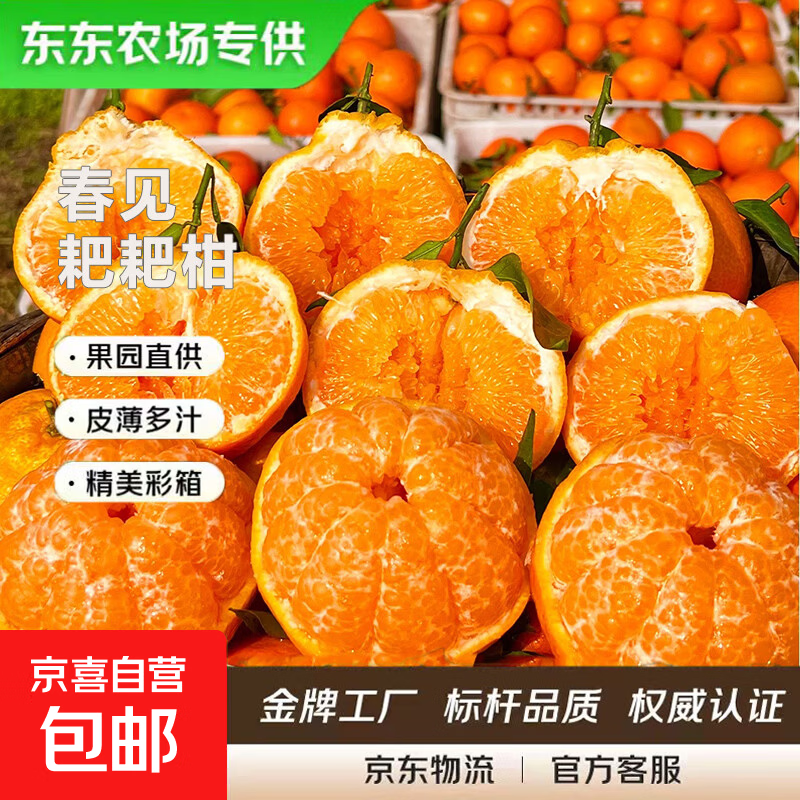 【东东农场专供】四川春见耙耙柑杷杷柑多地次日达柑橘水果生鲜 带箱4斤【净重3.5斤】75mm+ 大果75mm+