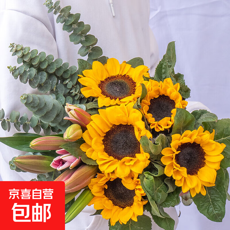 向日葵混搭鲜花家用水养插花云南基地520母亲节鲜花礼物 向日葵5枝+随机百合5朵十尤加利叶10枝