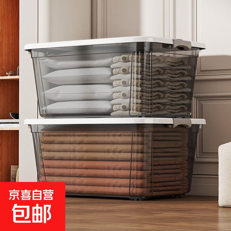 手提收纳箱带盖储物盒加厚塑料整理箱车载家用玩具收纳盒周转箱 透明黑色迷你 22*16*12cm