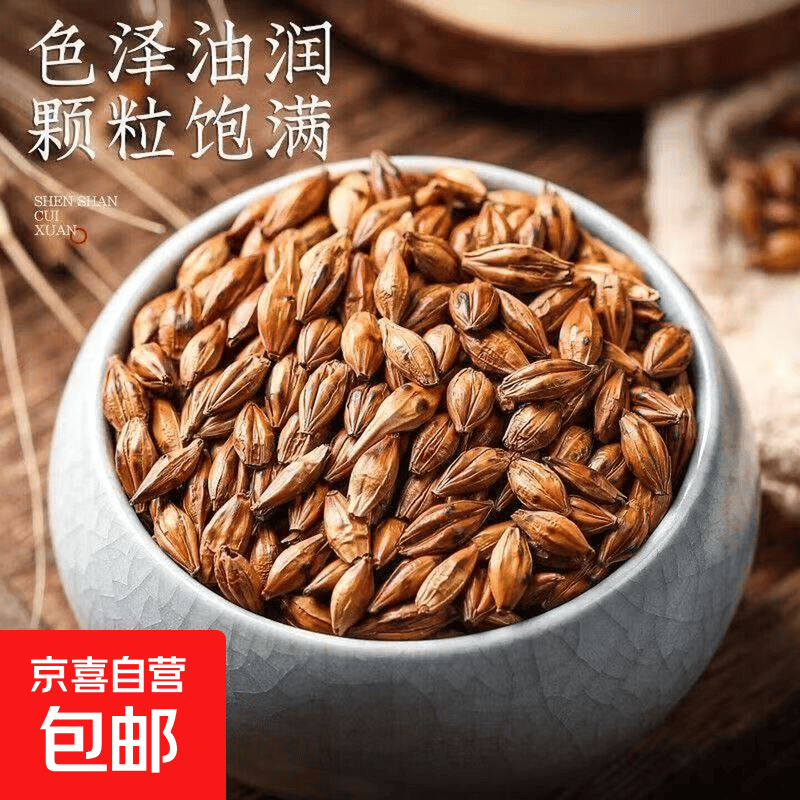 【餐馆同款】大麦茶烘焙浓香型罐装泡茶特级蒲公英苦荞菊花茶组合 大麦茶 袋装20g