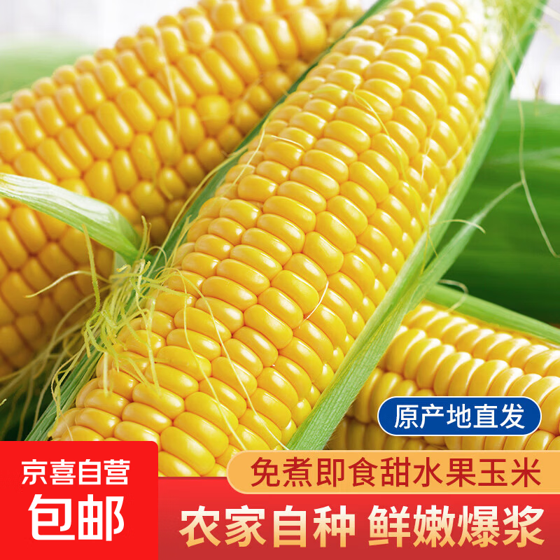 云南新鲜甜玉米水果玉米脆甜爆汁可生食新鲜采摘产地直发蔬菜早餐 净重3斤（单根300g+） 3-5支