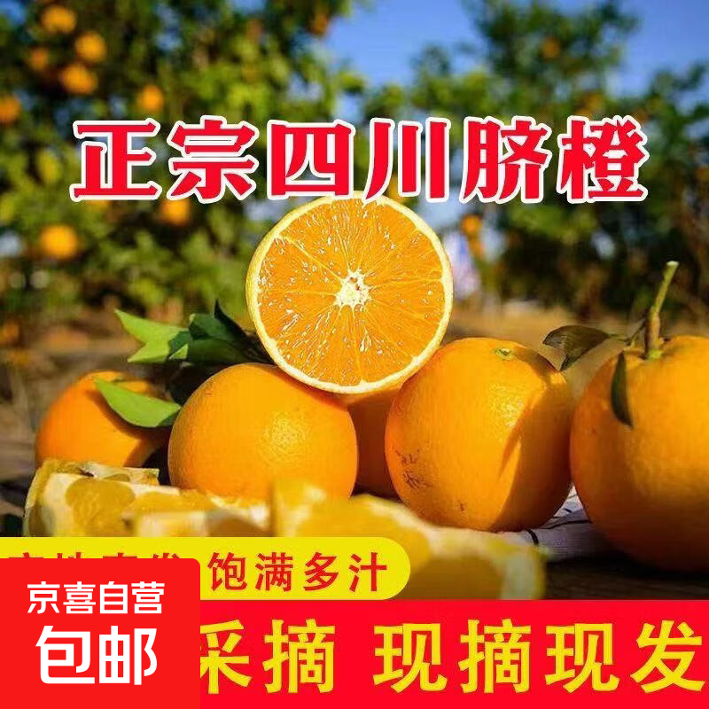 �����Ĵ���ɽ��� ����10�� 13.99Ԫ