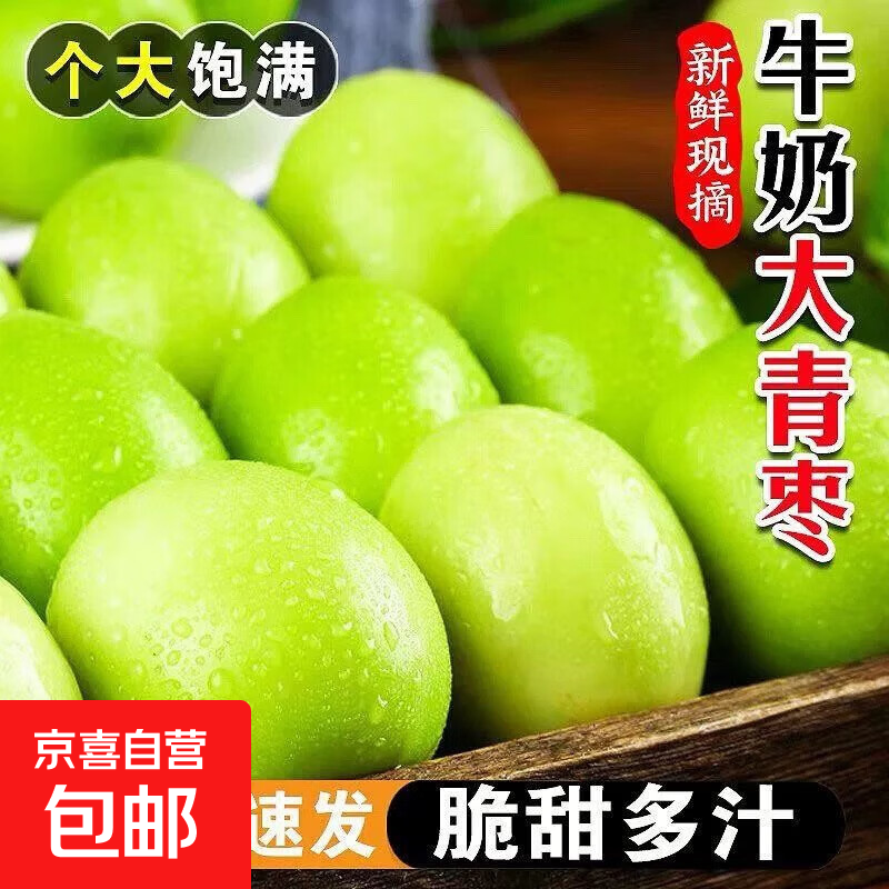 正宗福建青枣牛奶大青枣新鲜采摘福建牛奶枣脆甜水果清甜可口 中大果带箱5斤-净重4.5斤 单果50g+【30-35个】