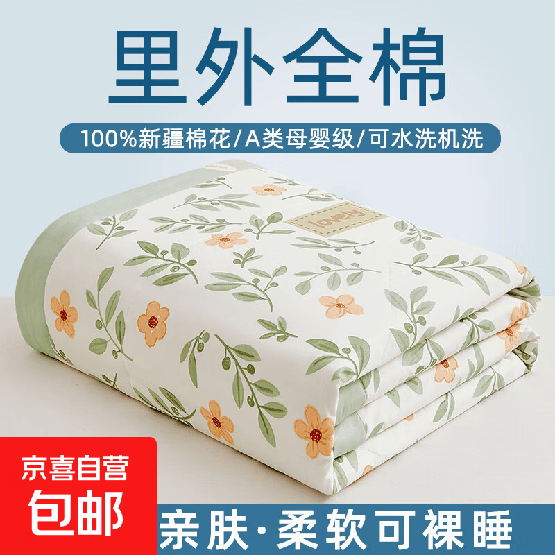 新疆纯棉花夏凉被2025新款全棉空调被夏被夏季薄被子被芯可机洗 【A类母婴级 里外全棉】青柠薄荷 150*200cm【100%新疆棉填充】