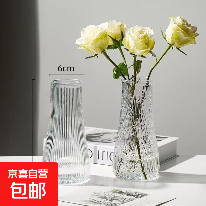 创意透明ins风玻璃花瓶植物干花插花水培大容器台面装饰客厅摆件 透明水波纹+透明竖条纹（20*6*9）