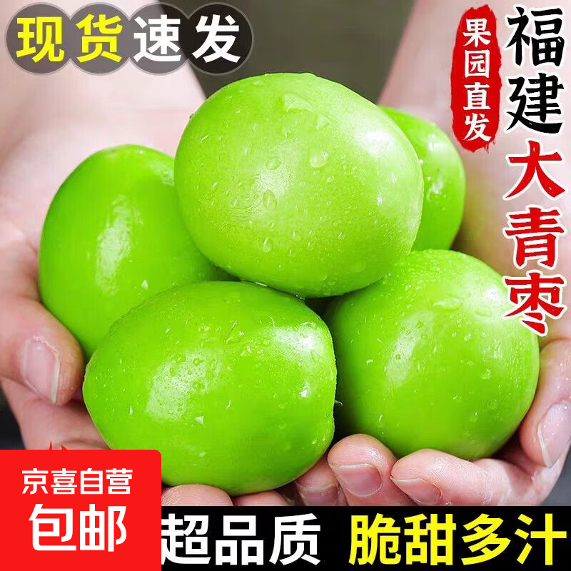 福建牛奶大青枣 现摘新鲜大枣 甜脆鲜枣子新鲜时令水果 带箱5斤【单果50g起】