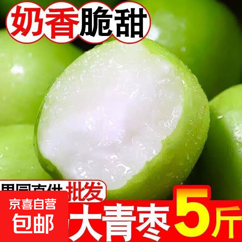 新鲜现摘福建牛奶大青枣正宗牛奶枣脆甜水果清甜可口 牛奶大青枣带箱5斤（净重4.5斤起）