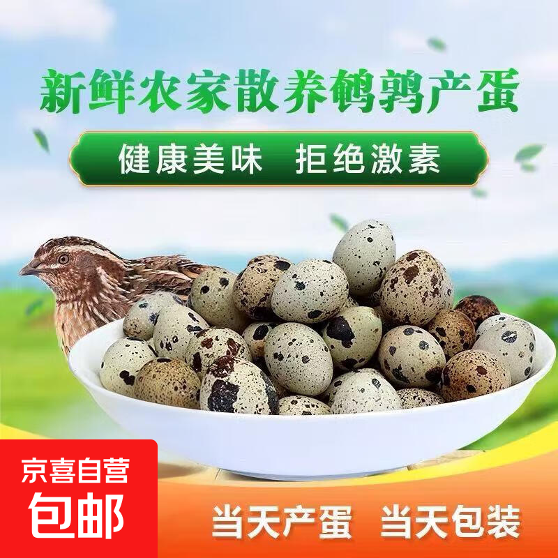 生鲜鹌鹑蛋7-9g当日新鲜整箱批发农家杂粮鸟蛋宝宝辅食生蛋当日现捡25枚*1箱